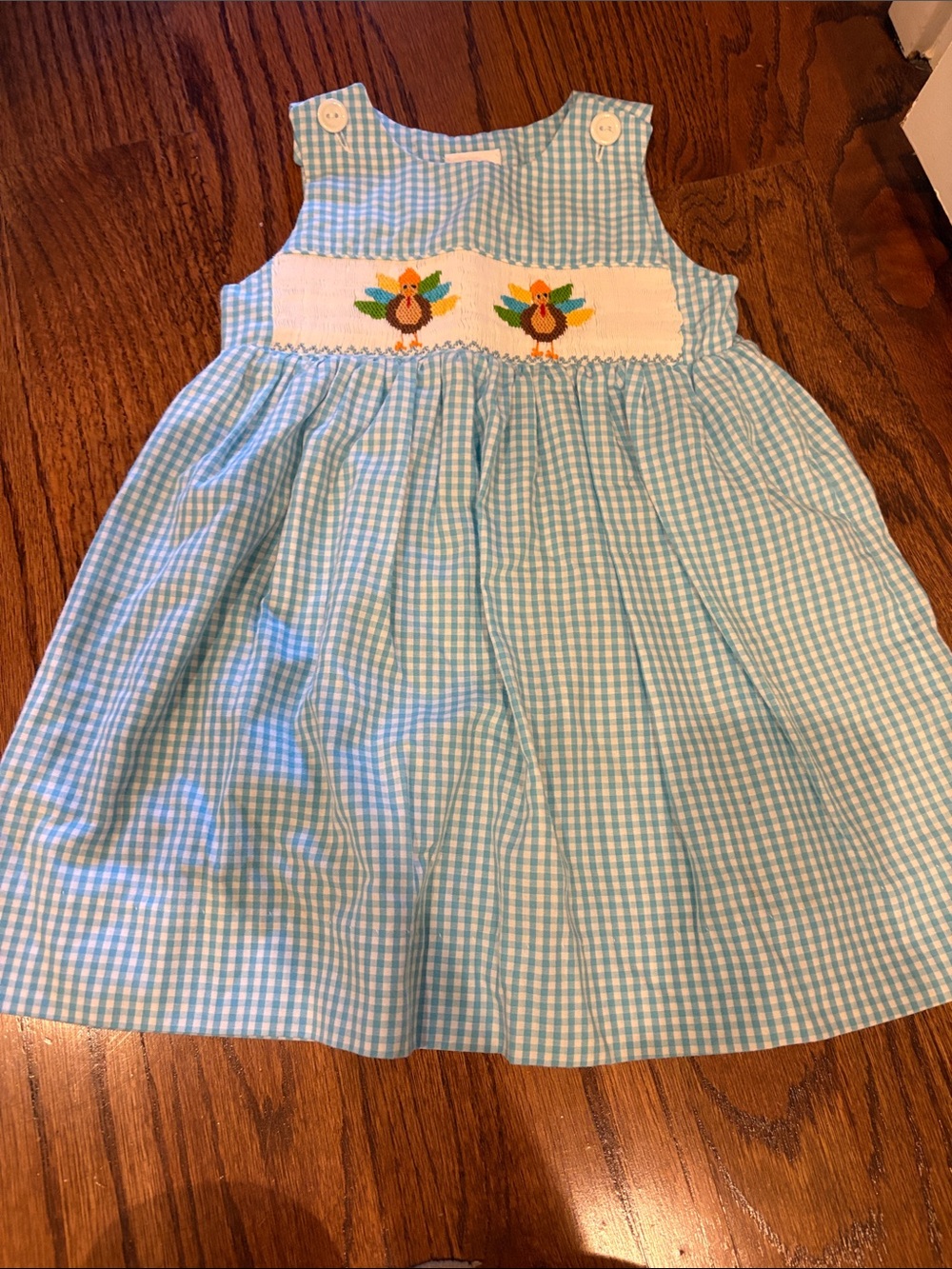 Blue Gingham Smocked Turkey Dress